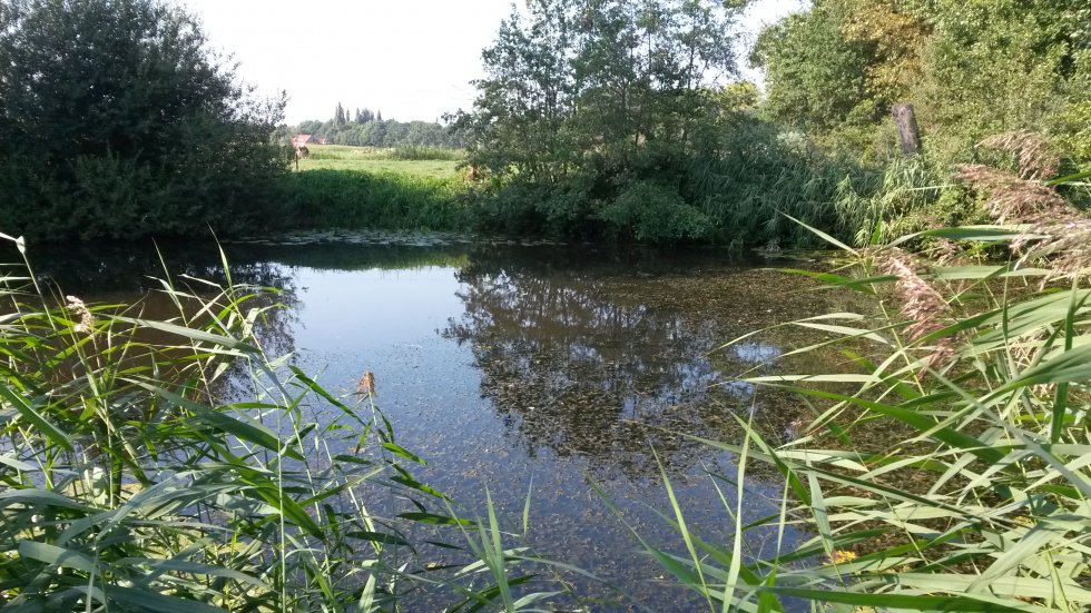 Winterwandeling Gemonde